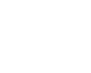 lungs icon
